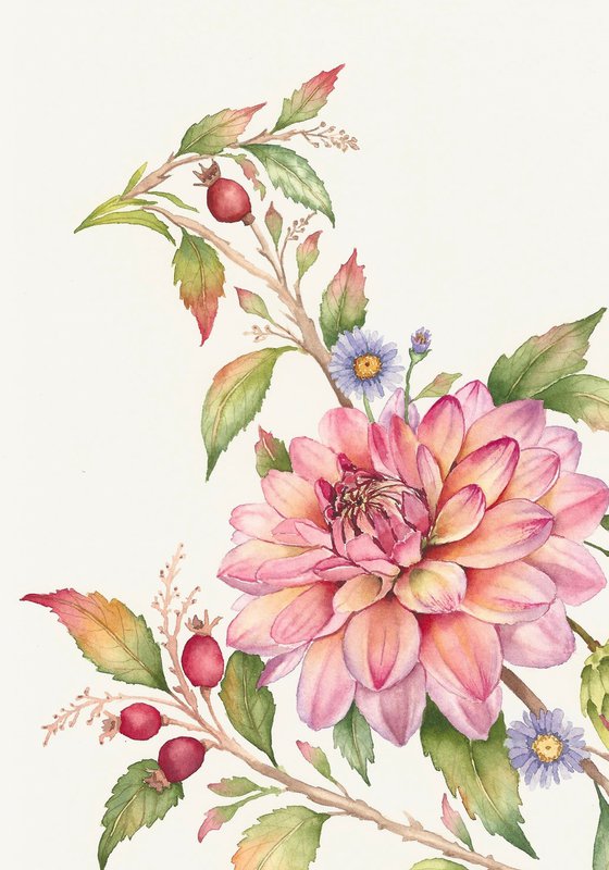 Dahlia Plumage
