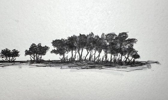 Trees in Pen and Ink - Norfolk Landscape English Countryside