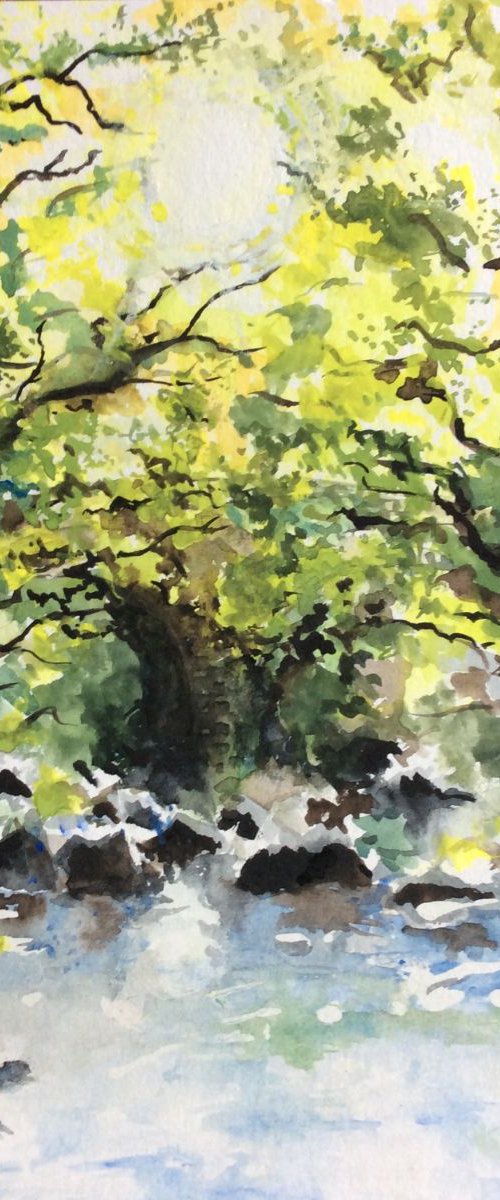Steps Bridge by Lucy Smerdon