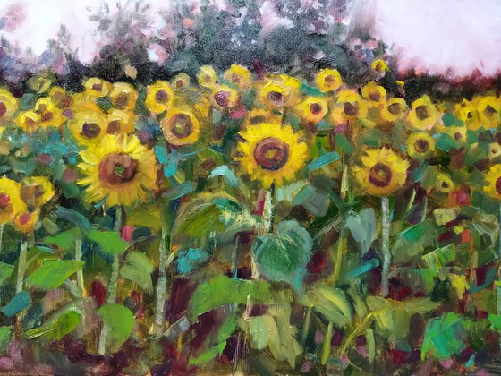 Vibrant Sunflower Landscape