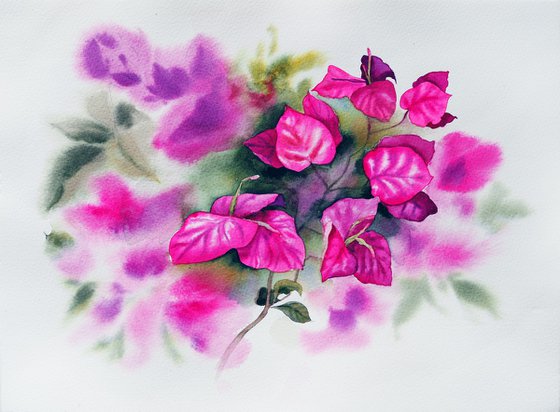 Bougainvillea flower