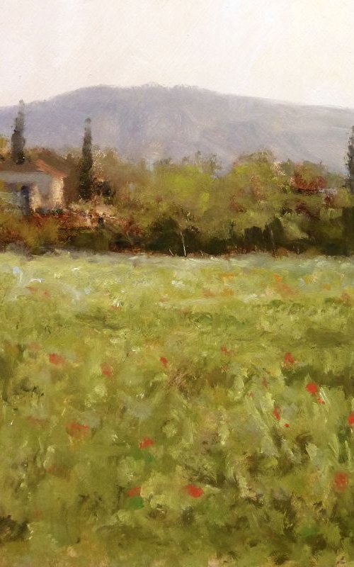 Landscape near Aix en Provence by Pascal Giroud