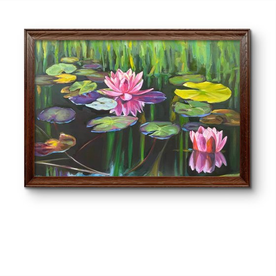 Colorful pond Water lilies