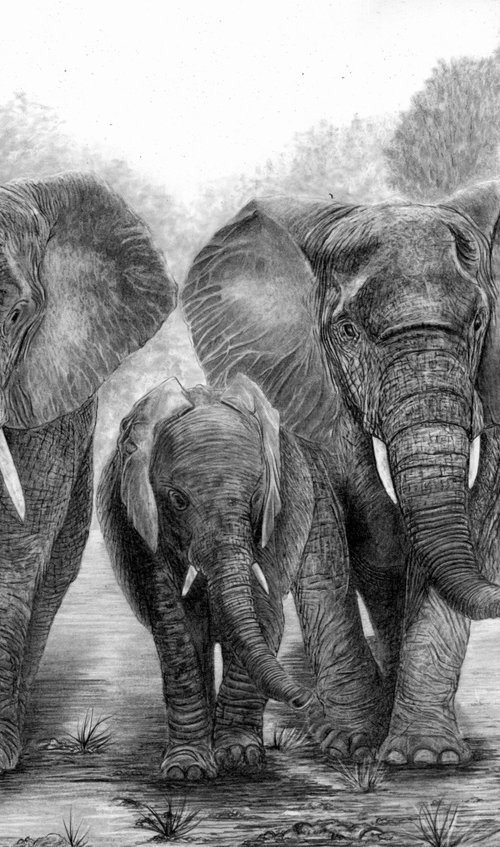 Here Come the Girls by Paul Stowe