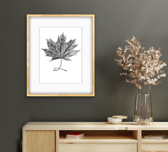 Maple leaf