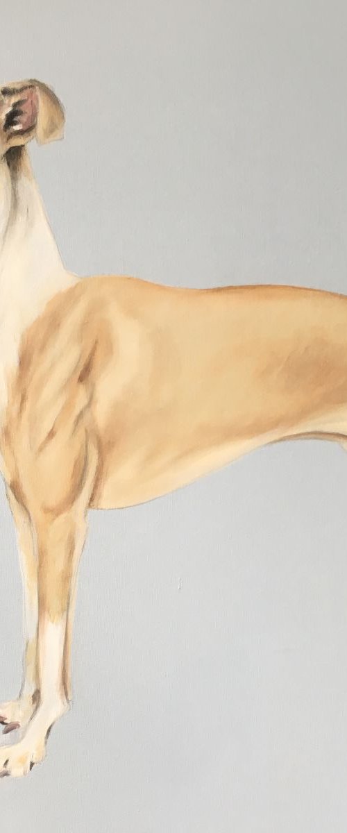 Whippet by Amanda Lakin Art