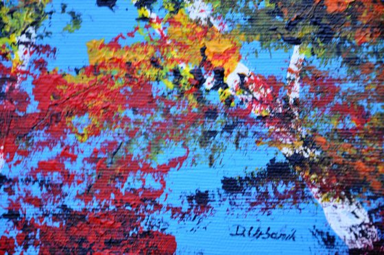Autumn In Birch Trees