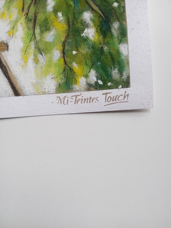 Morning light meadow