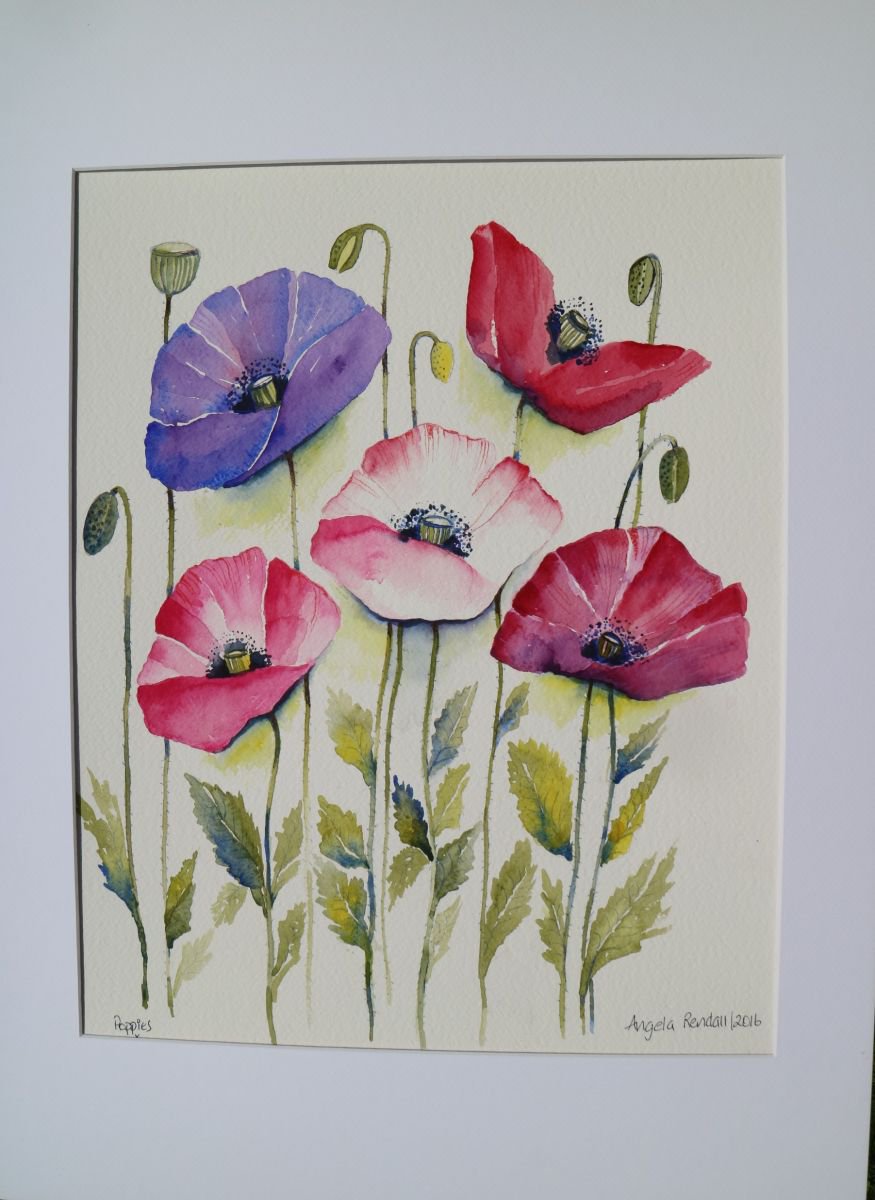 Poppies by Angela Rendall