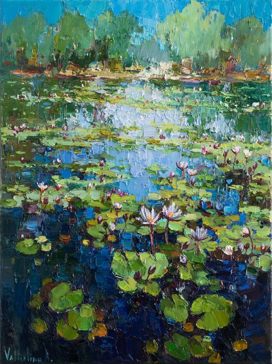 White Water Lilies