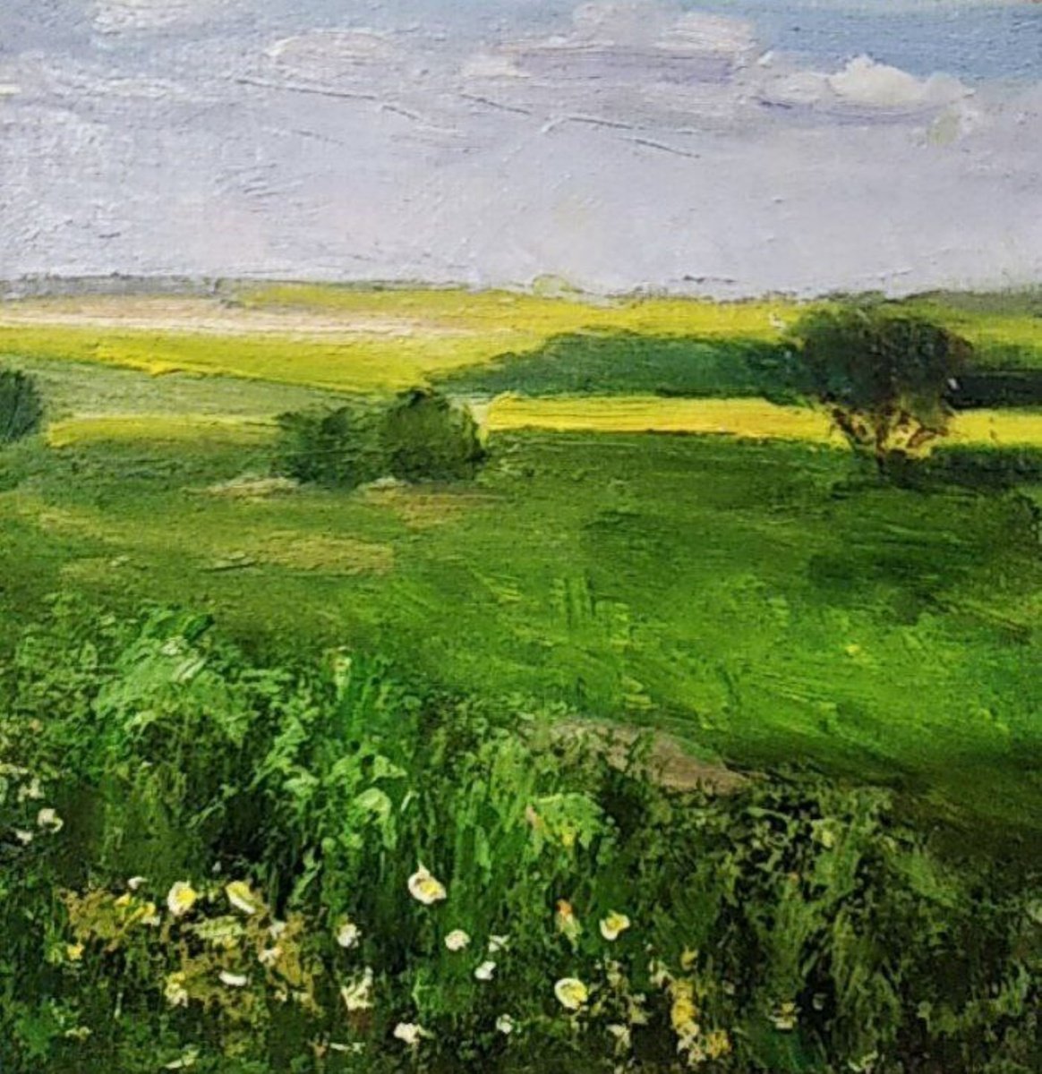 Ukrainian field by Valentina Andrukhova