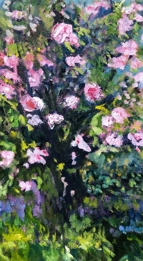VIMLAN'S GARDEN by Maureen Finck