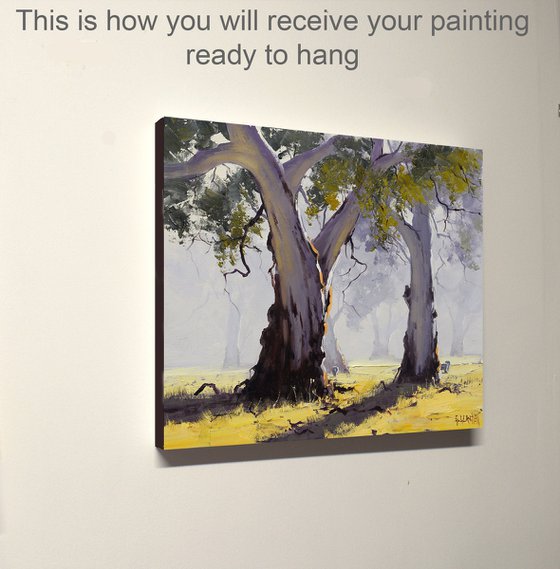 Misty Morning Australian Landscape