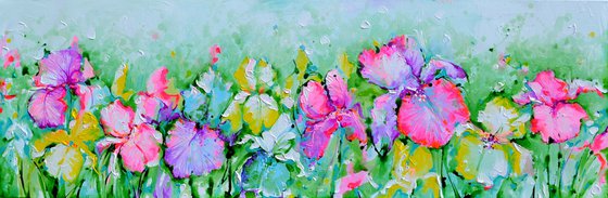 Iris Flower Field