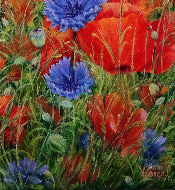 Poppies with Cornflowers.