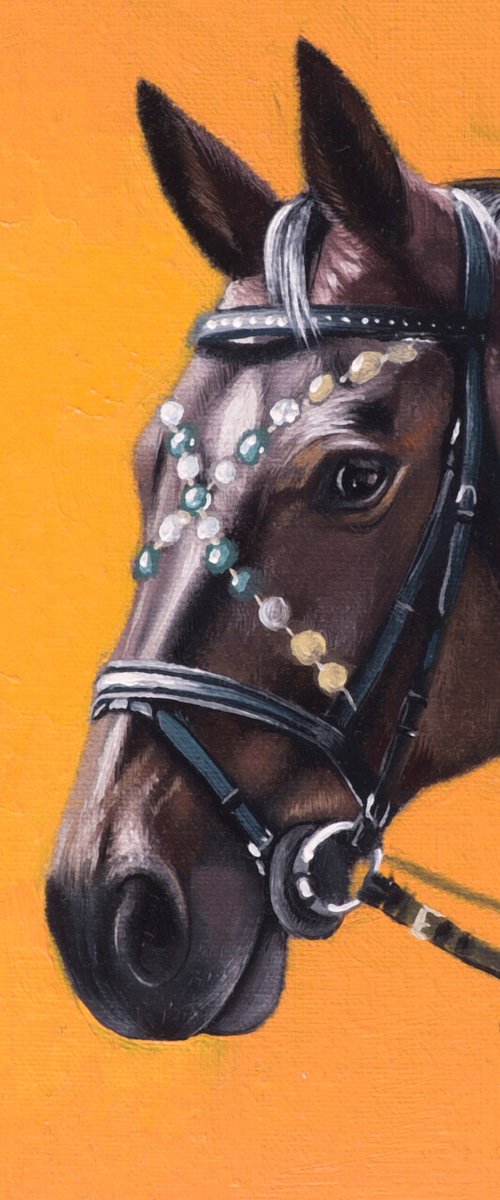 Horse Portrait 44 by Anastasia Parfilo