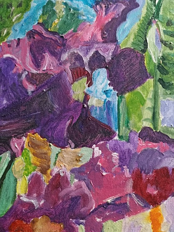 Irises flowers