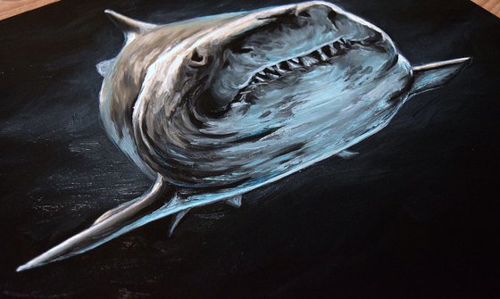 White Shark