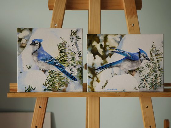 Jay Bird, Bluebird Small Art
