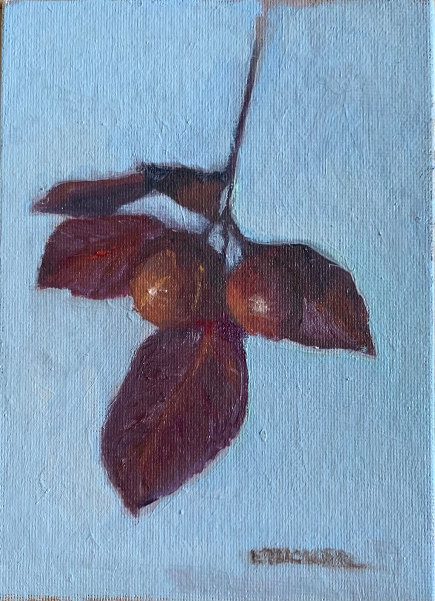 Miniature Plums by Elizabeth B. Tucker