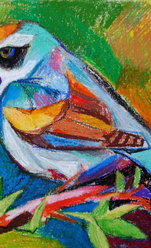 Pastel bird by Maja Đokić Mihajlović