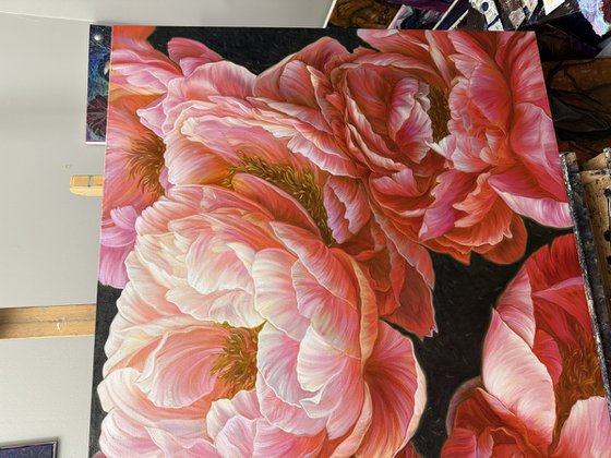 Red peonies on dark background