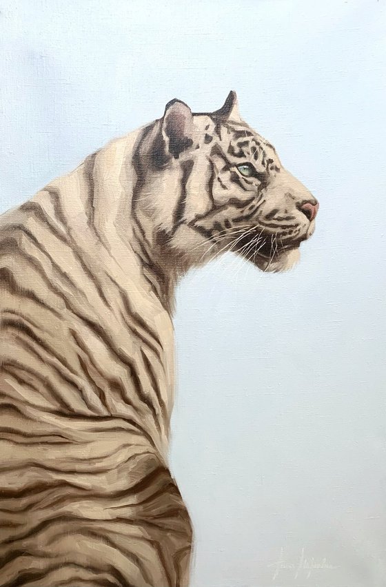 White tiger