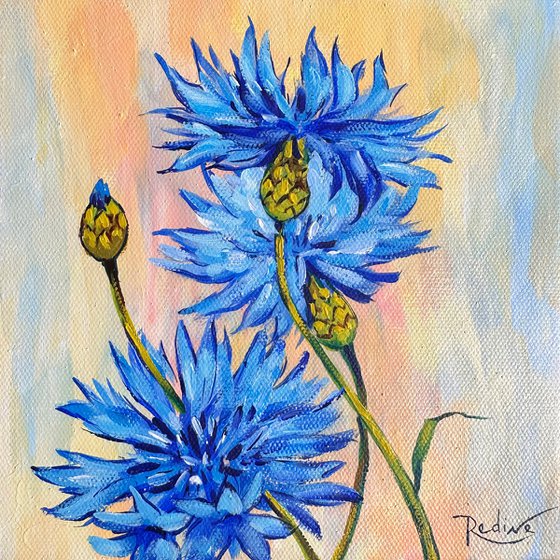 Cornflowers