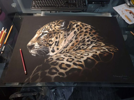 Leopard realism wild animals pastel on pastelmat