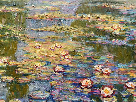 Water lilies in the pond
