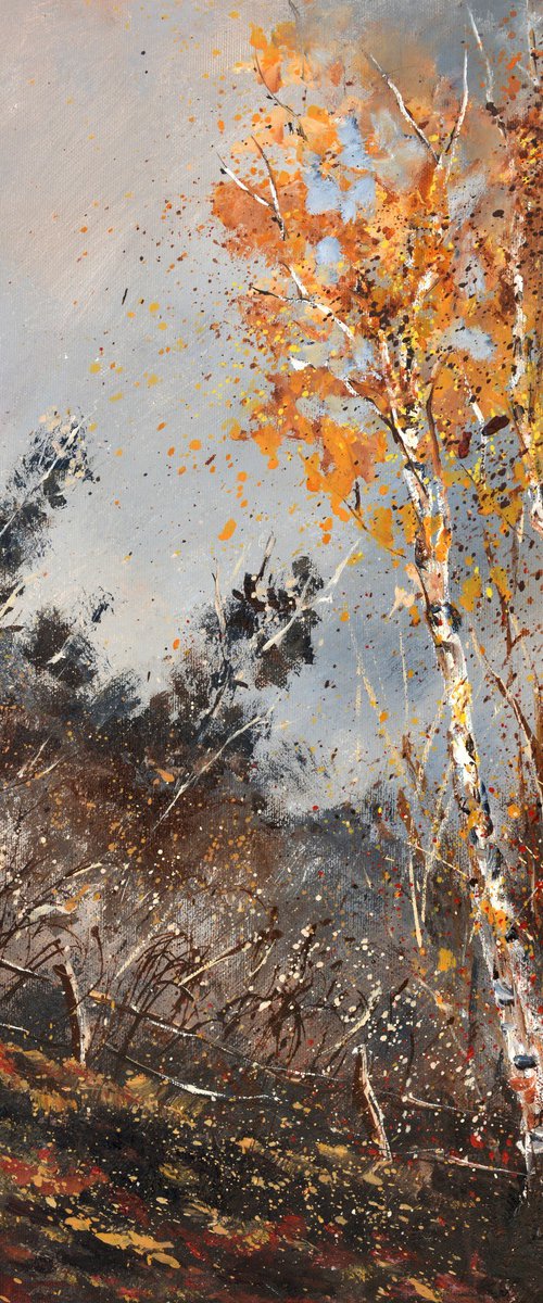 Aspen trees in autumn by Pol Henry Ledent