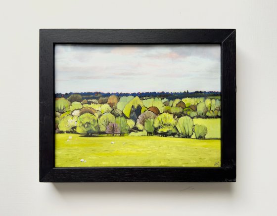 Small Suffolk Landscape