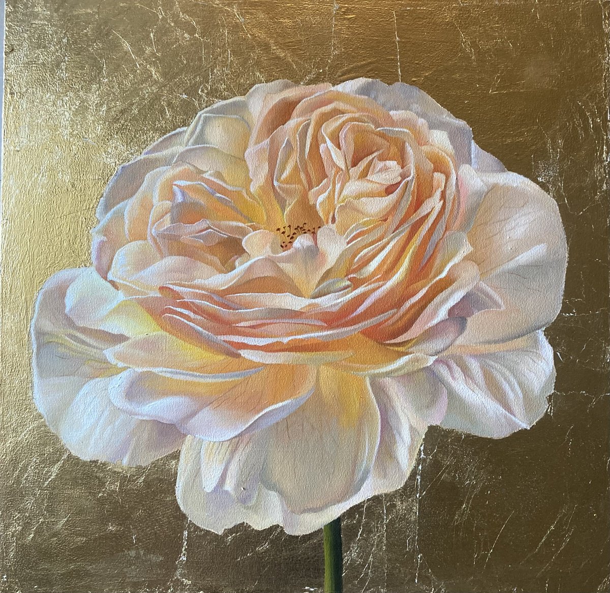 Photorealistic Botanical Oil Painting By Tatyana Holodnova, 16 X 16", Eternal Blossom, Original Artwork