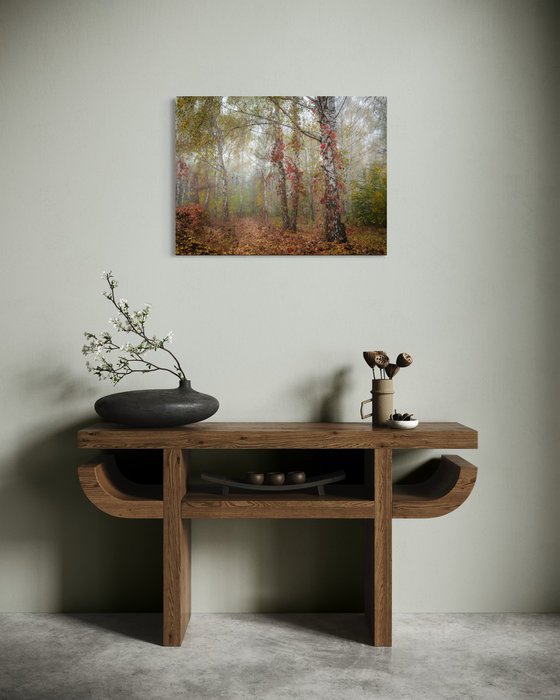 Autumn Calm II — Misty Birches