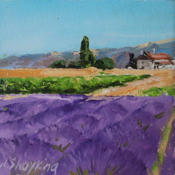 Set of 2 Poppy and Lavender Field Landscapes