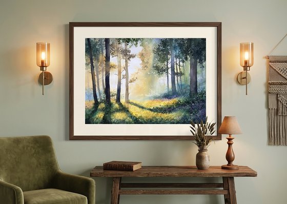 Misty Morning Forest
