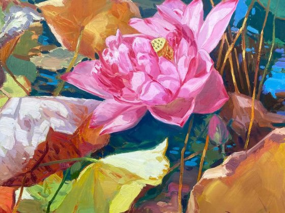 Still life oil painting:Lotus