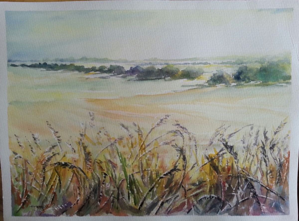 CAMPOS DE MONTIEL by Maylu Garci?a