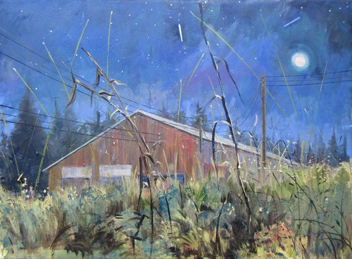 Big Barn by Alan Pergusey