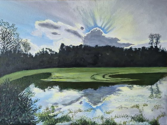 Light on a Flooded Field: A Sussex Landscape