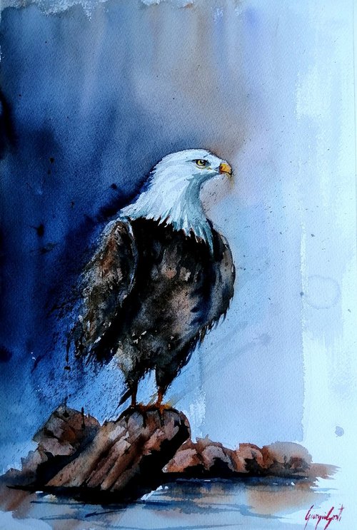 eagle 2 by Giorgio Gosti