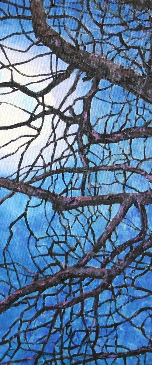 Trees in Moonlight by Zoe Elizabeth Norman