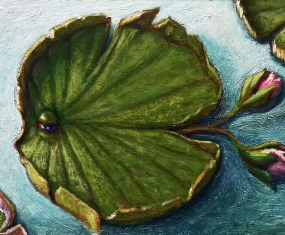 THE WATER LILY FISH - ( framed )