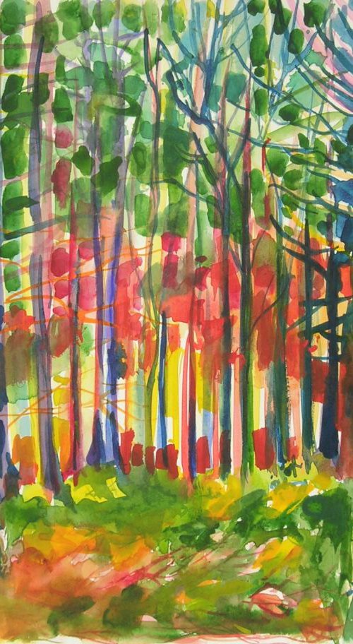A walk in the woods by Maja Grecic