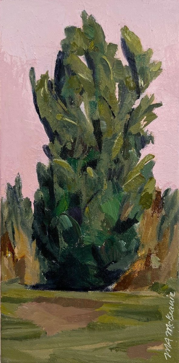  Skyrocket By Maryanne Mckernie, 6 X 12, Artwork For Sale On Artfinder