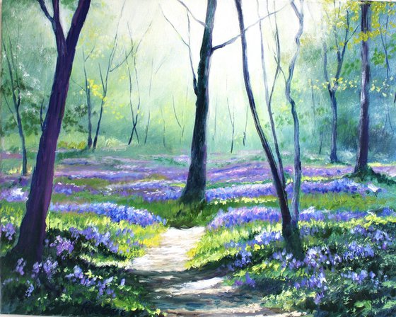 Bluebell  Walk 2