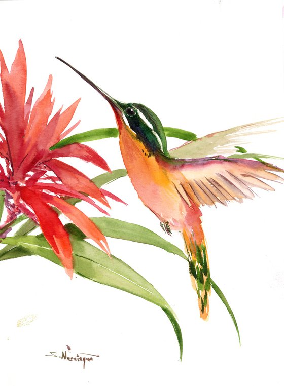 Hummingbird and Flower