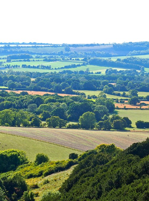 Meon Valley Panorama by Alex Cassels