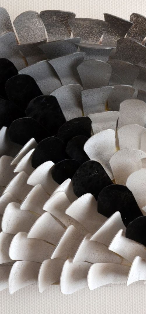 Coral patterns- 1 by Swapna Namboodiri