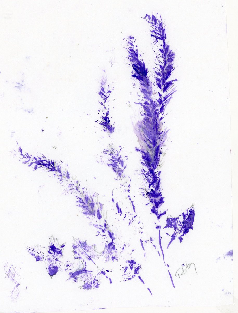 Purple Grasses by Alex Tolstoy